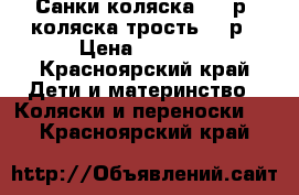 Санки-коляска-1500р, коляска трость-300р › Цена ­ 1 500 - Красноярский край Дети и материнство » Коляски и переноски   . Красноярский край